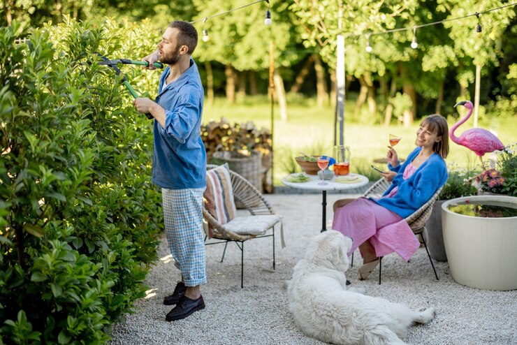 How to Design Your Dream Backyard with DIY Projects