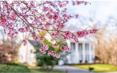 4 Ways To Make an Offer That Stands Out This Spring