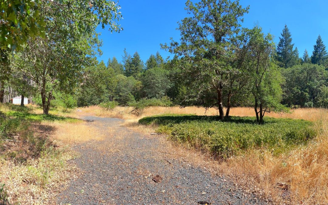 Closed | 101 McMullen Creek Road, Selma, OR 97538
