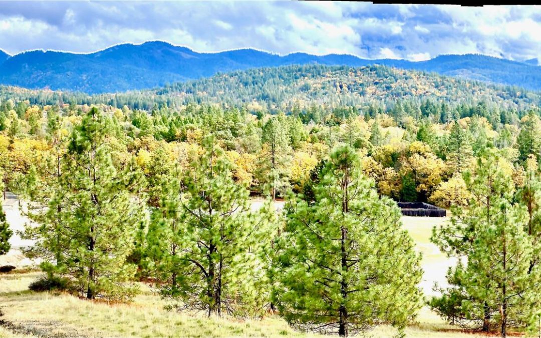 Active | 420 Tycer Crossing, Cave Junction, OR 97523