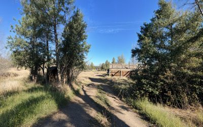 Pending | 274 Maureen Drive, Cave Junction, OR 97523