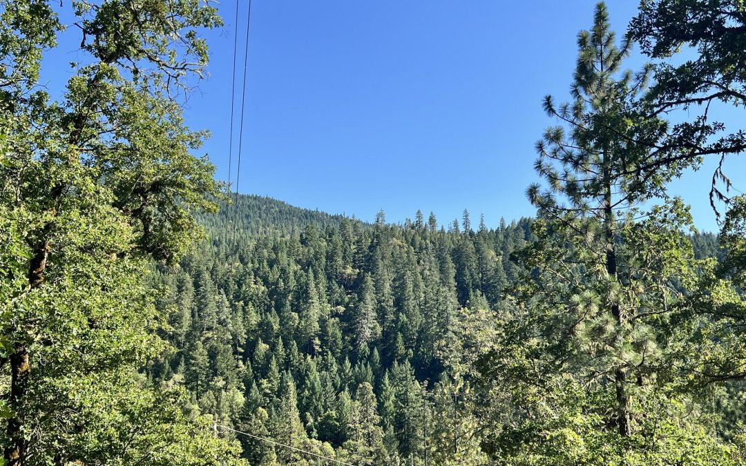 Pending | 4234 Placer Road, Wolf Creek, OR 97497