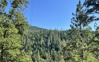 Pending | 4234 Placer Road, Wolf Creek, OR 97497