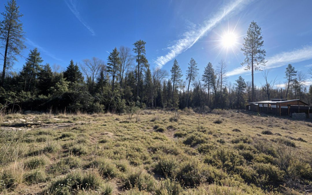 Sold | 274 Maureen Drive, Cave Junction, OR 97523