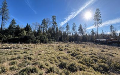 Sold | 274 Maureen Drive, Cave Junction, OR 97523
